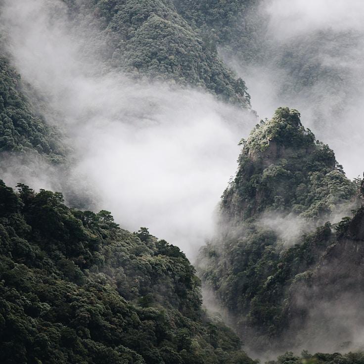 Overview of protected areas